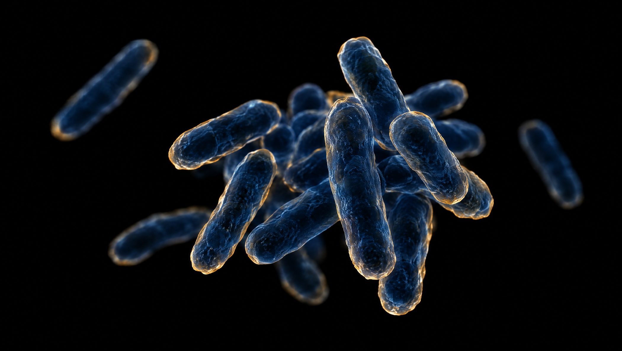 Rod-shaped bacteria in a dark-field visualization